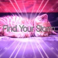 Find Your Storm