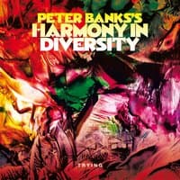 Peter Banks's Harmony in Diversity: Trying