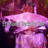 53 Relaxing Tracks For Calm