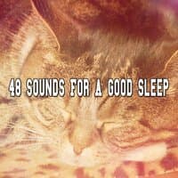 48 Sounds For A Good Sleep