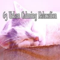 63 Urban Calming Relaxation