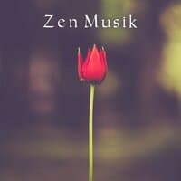 Zen Musik – Yoga & Meditation, Harmonie, Entspannung, Heilende Geräusche, Reiki, Meditieren