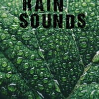 25 Natural Rain Sounds