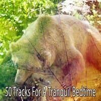 50 Tracks for a Tranquil Bedtime