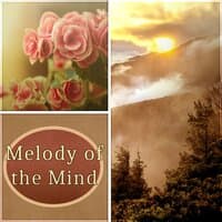 Melody of the Mind - Serenity Spa, Sound Therapy with Sounds of Nature, New Age, Deep Baby Sleep