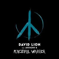 Peaceful Warrior