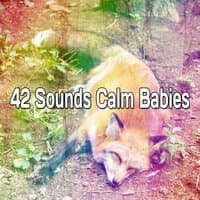 42 Sounds Calm Babies