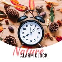 Nature Alarm Clock