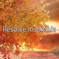 Resolve Insomnia