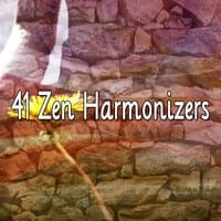 41 Zen Harmonizers