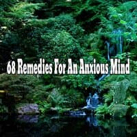 68 Remedies For An Anxious Mind