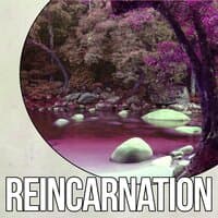 Reincarnation - Mindfulness Meditation & Relaxation, Hindu Yoga, Instrumental Music and Nature Sounds