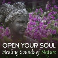 Open Your Soul: Healing Sounds of Nature, Meditation Music, Breathe & Calm Yourself, REM Deep Sleep