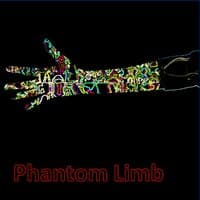 Phantom Limb