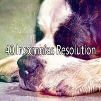 40 Insomnias Resolution