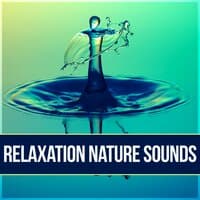 Relaxation Nature Sounds - Relaxation & Meditation, Endlessly Soothing Music, Instrumental Nature Sounds, Ocean Waves, Luxury Spa, Sensual Massage Music for Aromatherapy