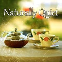 Naturally Quiet - Rest After Work, Nice Time with Nature, Singing Birds, Sounds of Water