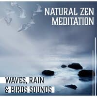 Natural Zen Meditation: Waves, Rain & Birds Sounds, Natural Wonder, Inner Peace, Yoga, Reiki, Chakra Balancing Waves