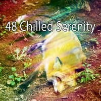 48 Chilled Serenity