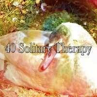 40 Solitary Therapy