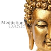 Meditation Oasis 50 Tracks - Deep Meditation, Sounds of Nature & Relaxing Music for Sleep, Study, Healing and Spa