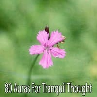 80 Auras For Tranquil Thought