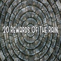 20 Rewards Of The Rain