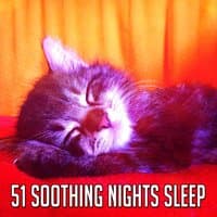 51 Soothing Nights Sleep