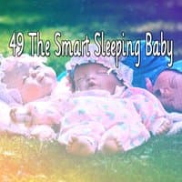 49 The Smart Sleeping Baby