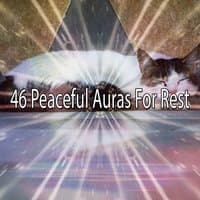 46 Peaceful Auras For Rest