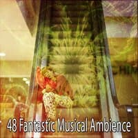 48 Fantastic Musical Ambience