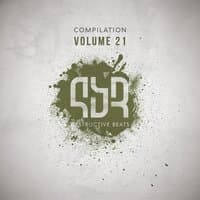 Destructive Compilation, Vol. 21