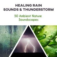 Healing Rain Sounds & Thunderstorm: 50 Ambient Nature Soundscapes for Yoga Meditation, Relaxing Music for Autogenic Training, Calming Techniques - Deep Breathing, Handling Stress, Inner Strength