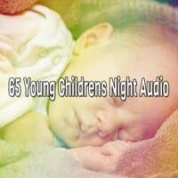 65 Young Childrens Night Audio