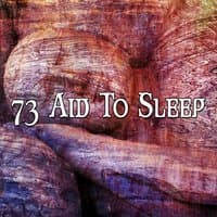 73 Aid To Sleep