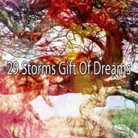 29 Storms Gift of Dreams