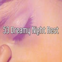 53 Dreamy Night Rest