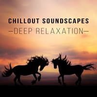 Chillout Soundscapes: Deep Relaxation - Essential Easy Listening Tracks Collection of Wild Summer Experience, Reach Deep State of Serenity