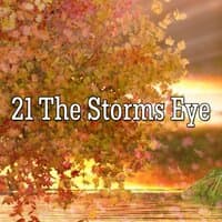 21 The Storms Eye