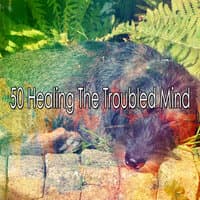 50 Healing the Troubled Mind