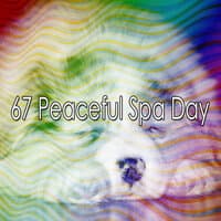 67 Peaceful Spa Day