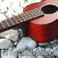 10 The Latin Experience