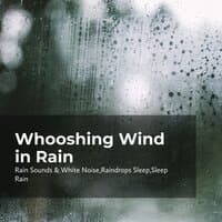 Whooshing Wind in Rain