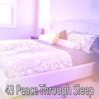 43 Peace Through Sle - EP