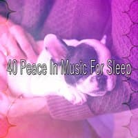 40 Peace in Music for Sleep