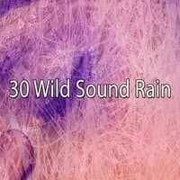 30 Wild Sound Rain