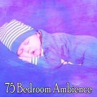 75 Bedroom Ambience