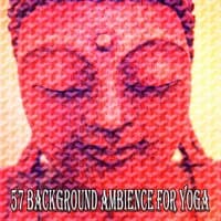 57 Background Ambience for Yoga