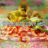 44 Reconstructive Rest