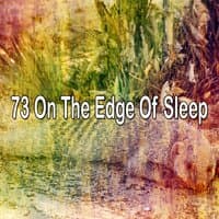 73 On the Edge of Sleep